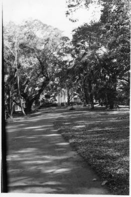 Le parc de Saigon